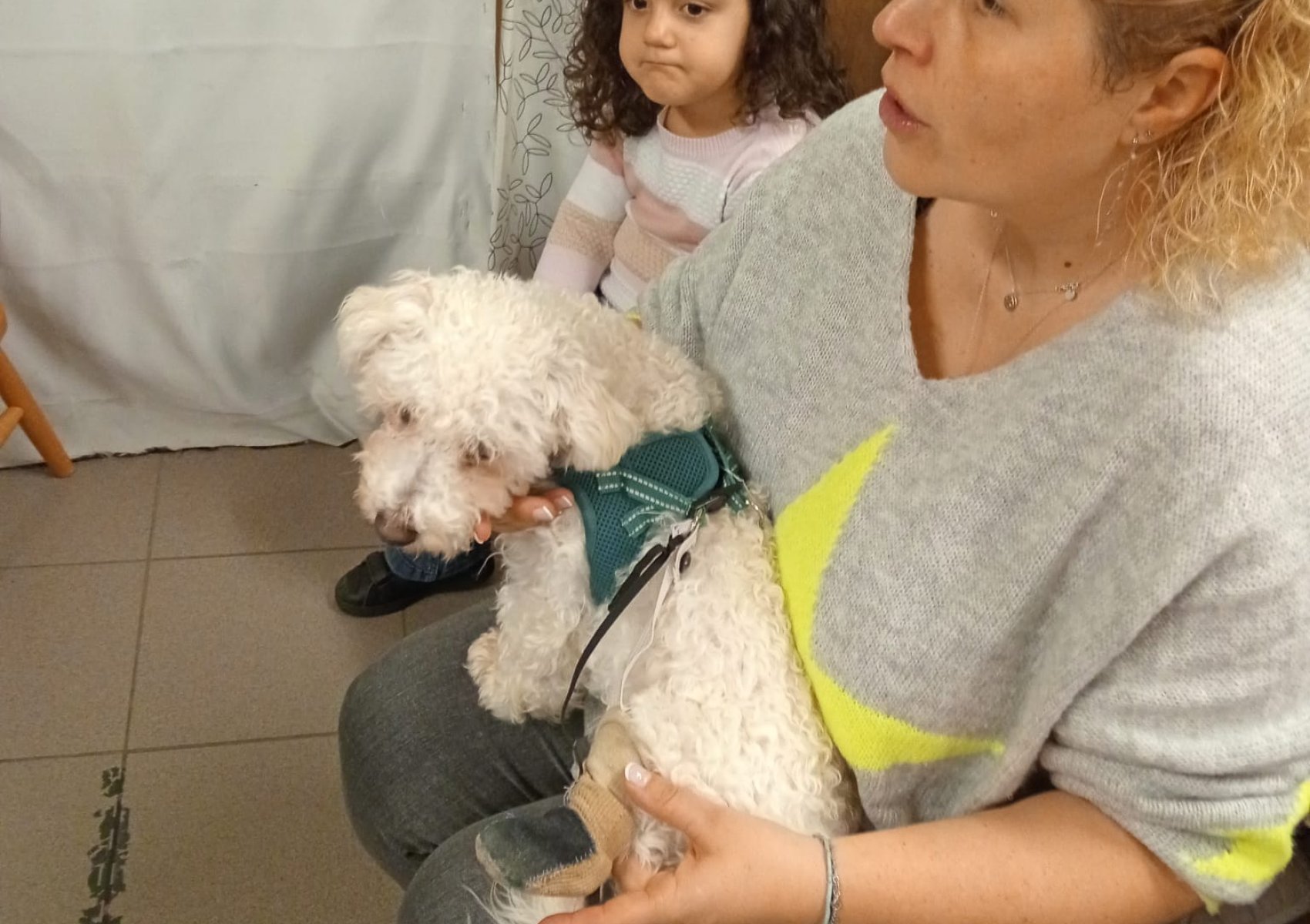 whatsapp image 2026-01-16 at 22.47.23 4